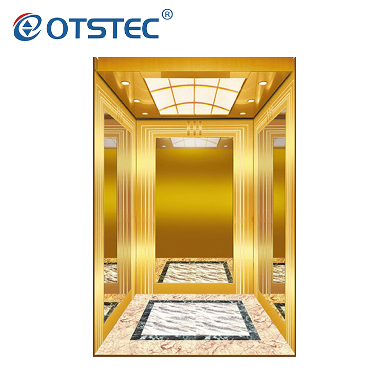 Auto Titanium Gold Индивидуальный дизайн пассажирского лифта Цена подъема